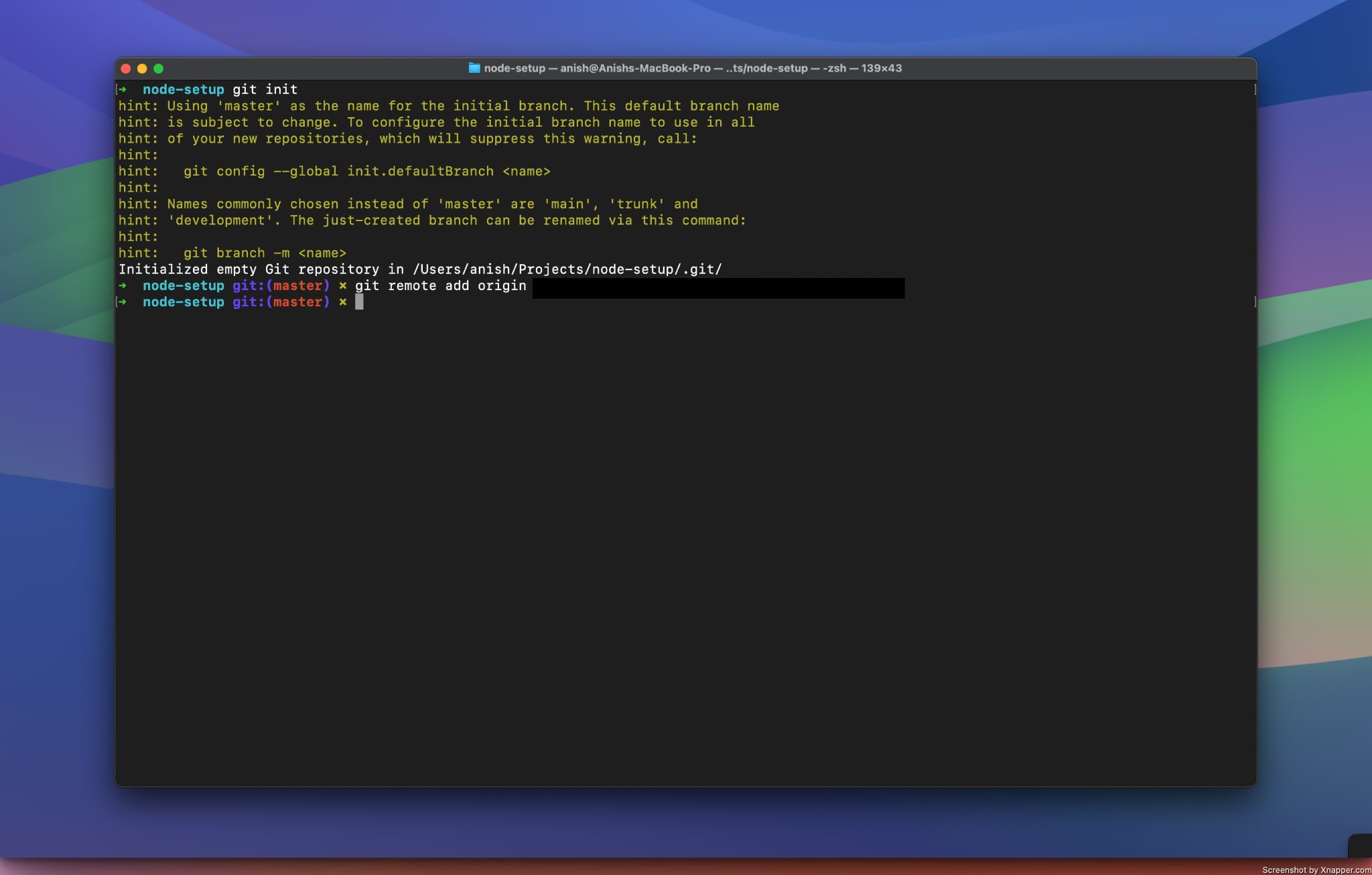 Initialize Git Repository